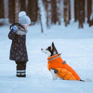 Dog Coat Warm Dog Winter Coat Waterproof Dogs Jacket